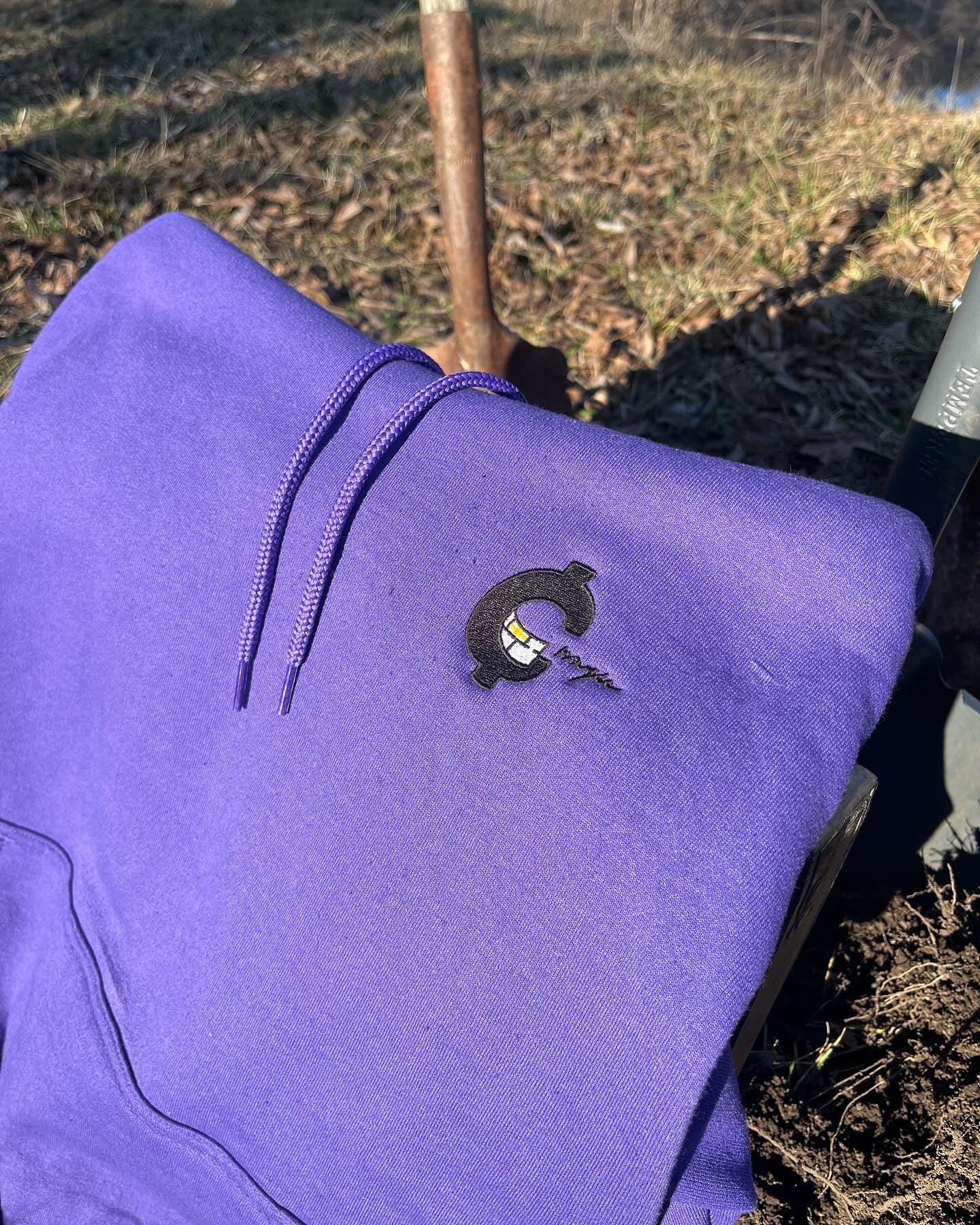 Everything that Glitters Hoodie